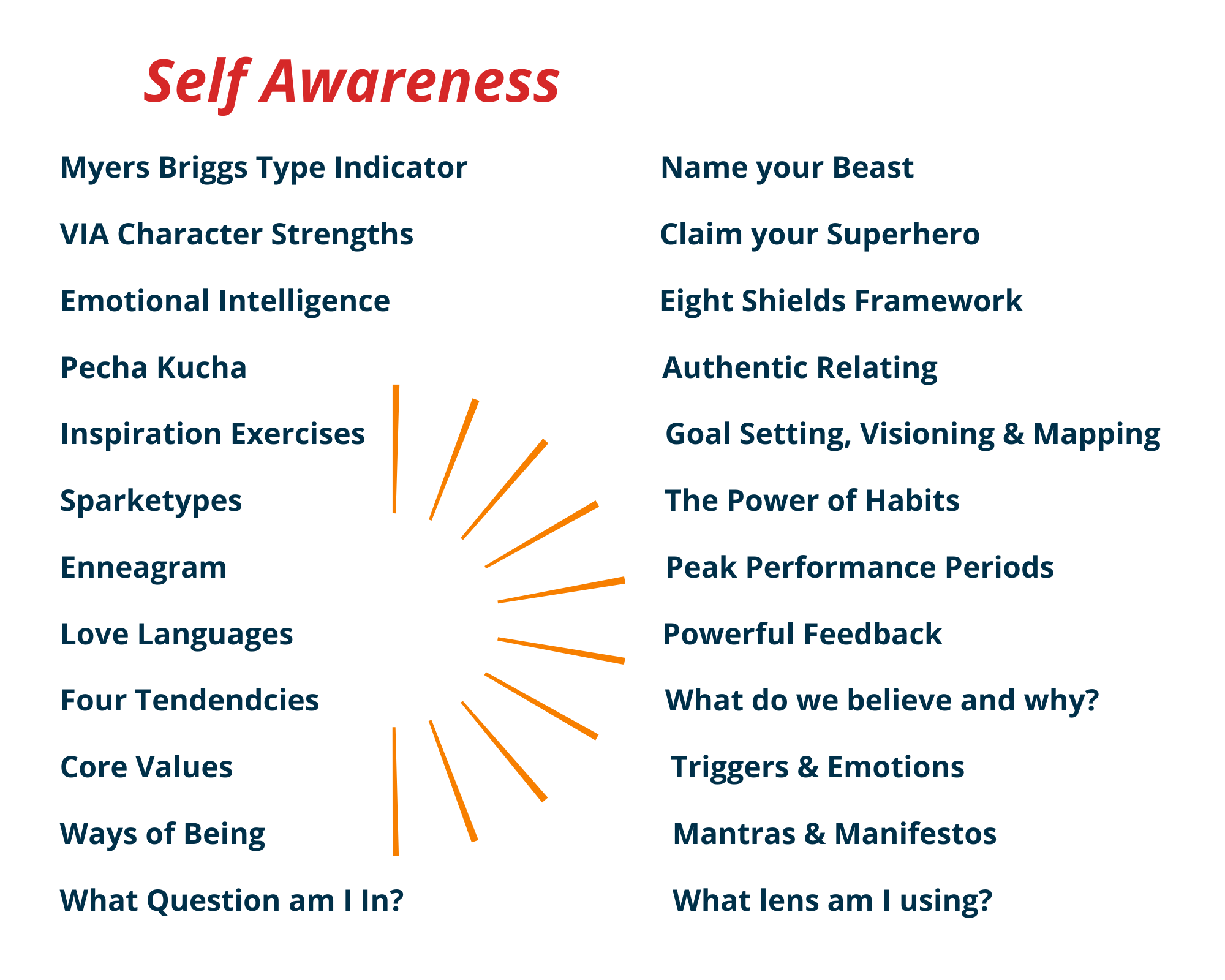 Self Awareness (2)